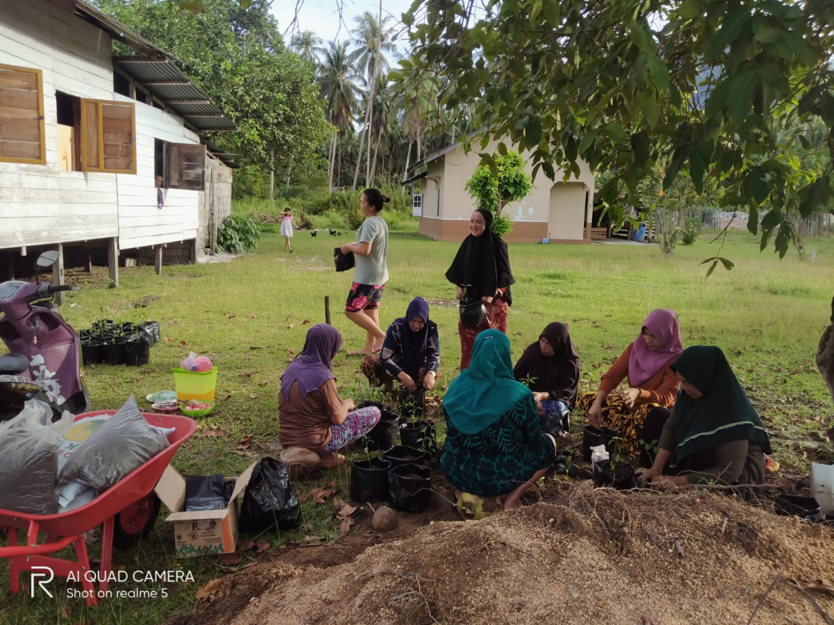 pengisian tanah  untuk pembibitan cabe oleh ibu- ibu kampung kb