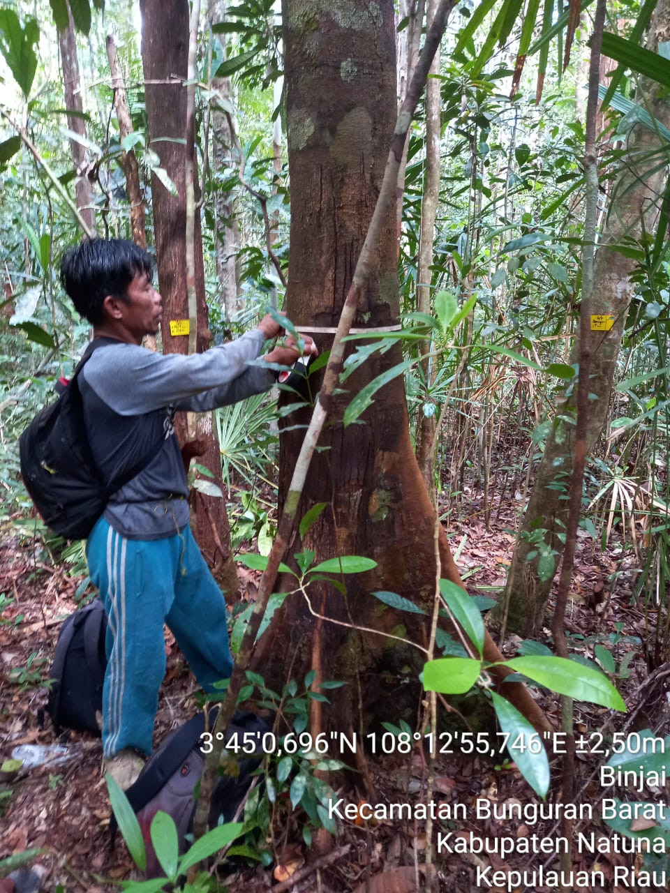 Survei untuk menentukan hutan lindung