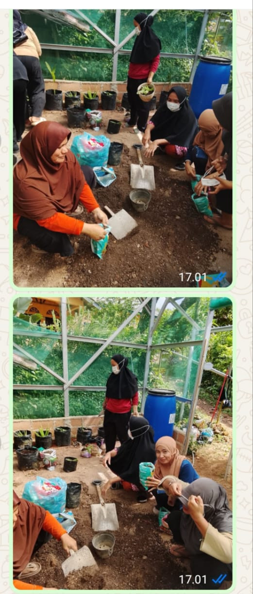 Penanaman Pembibitan