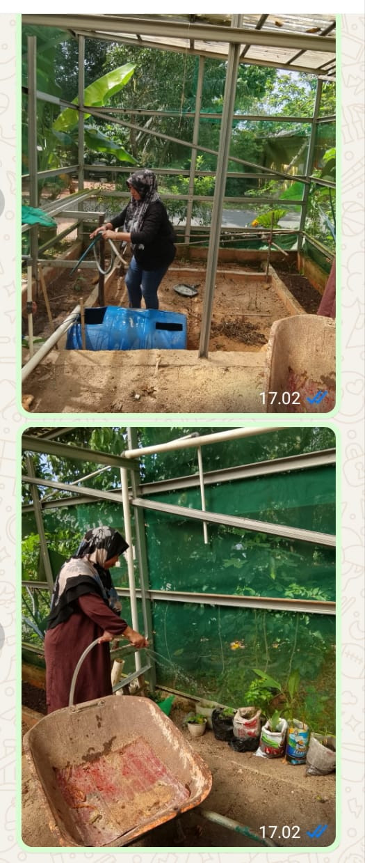 Menyiram Bibit Yg Baru Di Tanam