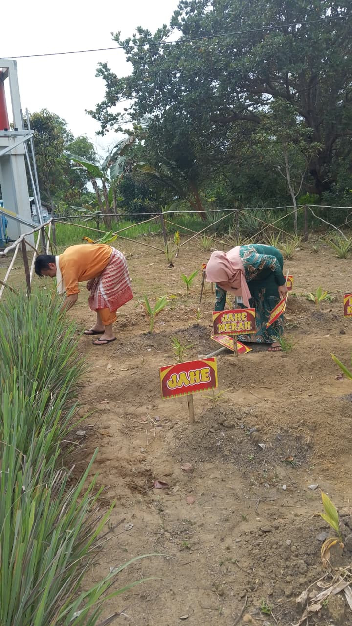 Sekretaris Camat dan Kasi Pemerintahan Kecamatan turut Membantu Membersihkan Kebun PKK