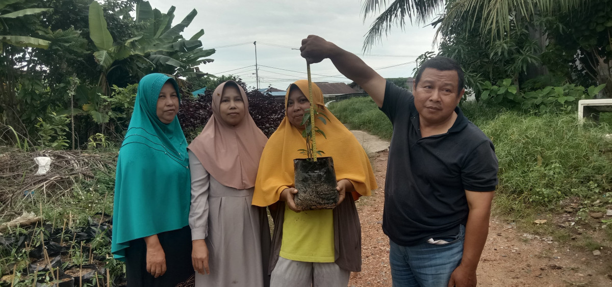 Penyerahan  hantuan bibit tanaman