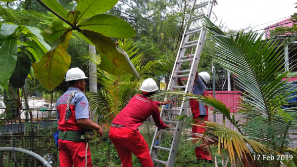 pemasangan lampu taman