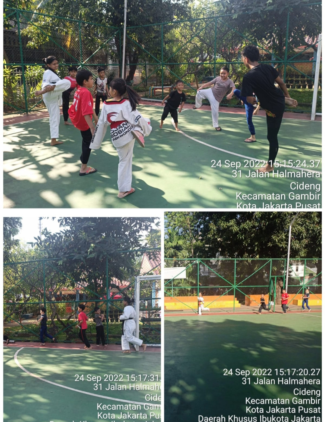 Pelatihan olahraga beladiri taekwondo