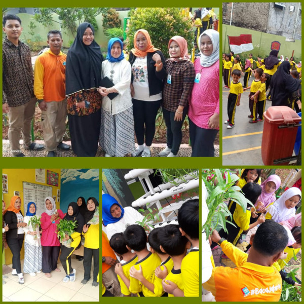 Pengenalan Tanaman Sayur dan Panen Kangkung Hidroponik