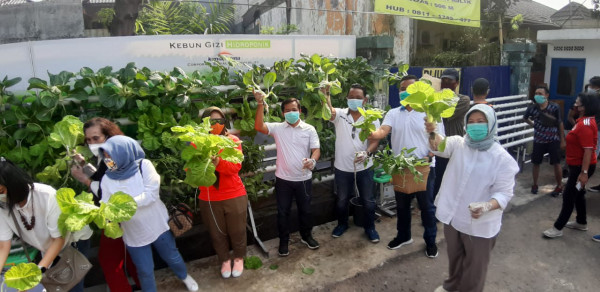  Panen raya Hidriponok petani perkotaan di wilayah RW 06 Kel CPT