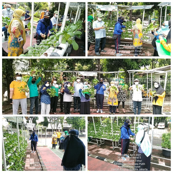  Kegiatan Panel Raya Hidroponik  tempat RPTRA Matahari RW 01 Kel CPT