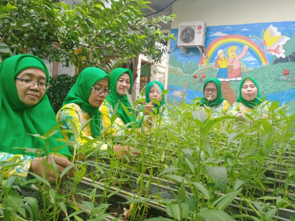 Panen Kangkung