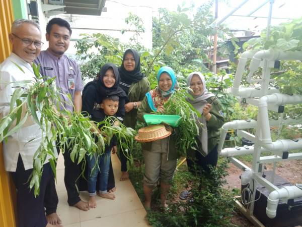 Panen Perdana Tanaman Kangkung Hidropnik di RPTRA