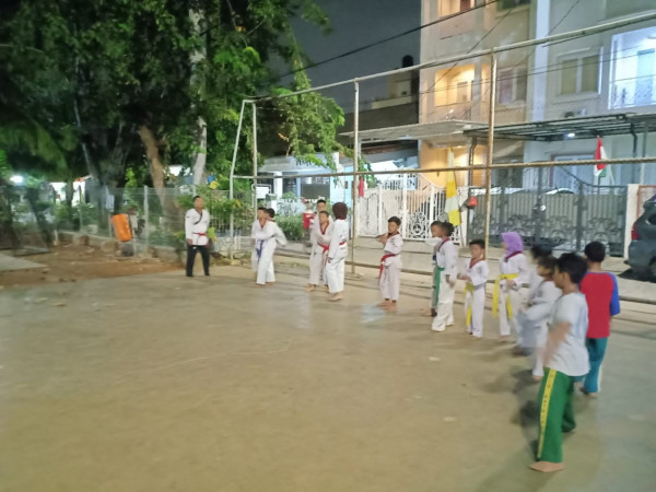 TAEKWONDO KOLINLAMIL