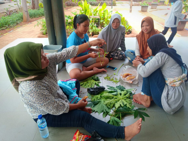 MEMBUAT KERAJINAN DARI BAHAN SAYURAN