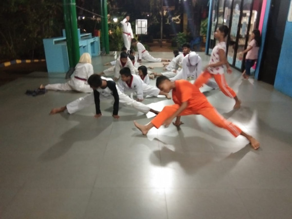 TAEKWONDO KOLINLAMIL