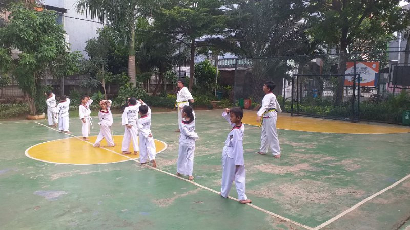 Taekwondo YCT