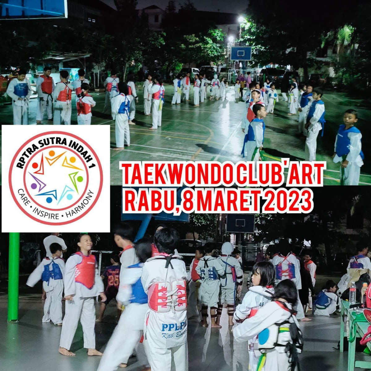 Taekwondo Club Art