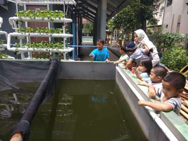 Memberi pakan ikan 