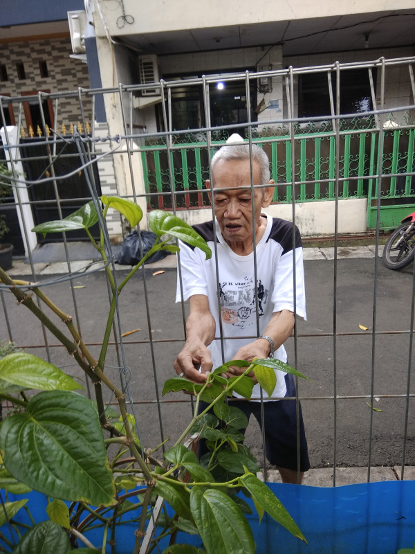 Kegiatan harian di rptra 