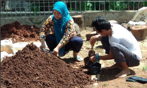 Penelitian dan Penanaman Bawang