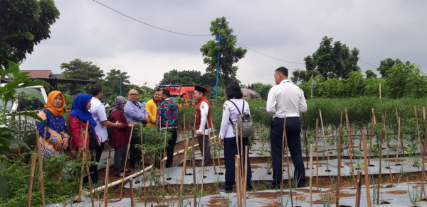 Kunjungan dari Team Dinas KPKP dan BI di kebun cabe RW 002