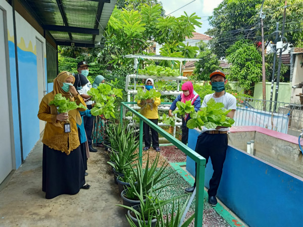 Panen Bersama Puskesmas Kecamatan Matraman