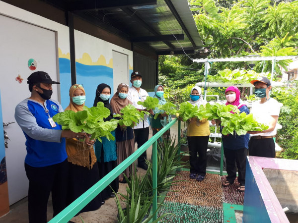 Panen Hidroponik (Sawi) Di Rptra Utakase Berseri