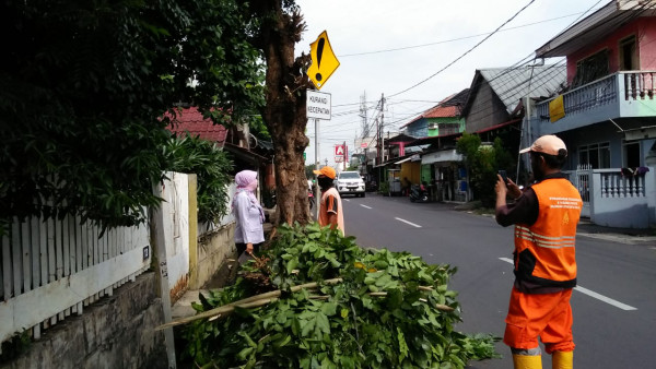 TOPPING POHON DEPAN RSUD 