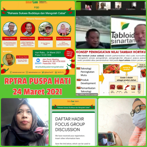 Kegiatan Pengelola RPTRA Puspa Hati Mengikuti Zoom FGD Rahasia Sukses Budidaya dan Mengolah Cabai oleh Tabloid Sinar Tani