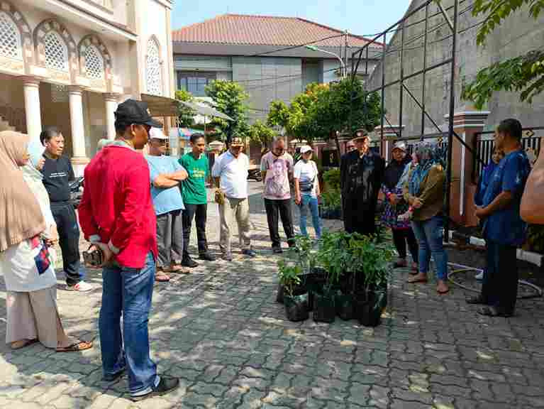 Persiapan Penanaman Cabe di Masjid Al- Ikhwan