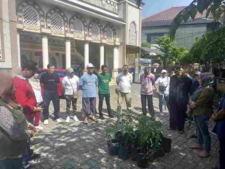 penanaman cabe di masjid Al-Ikhwan