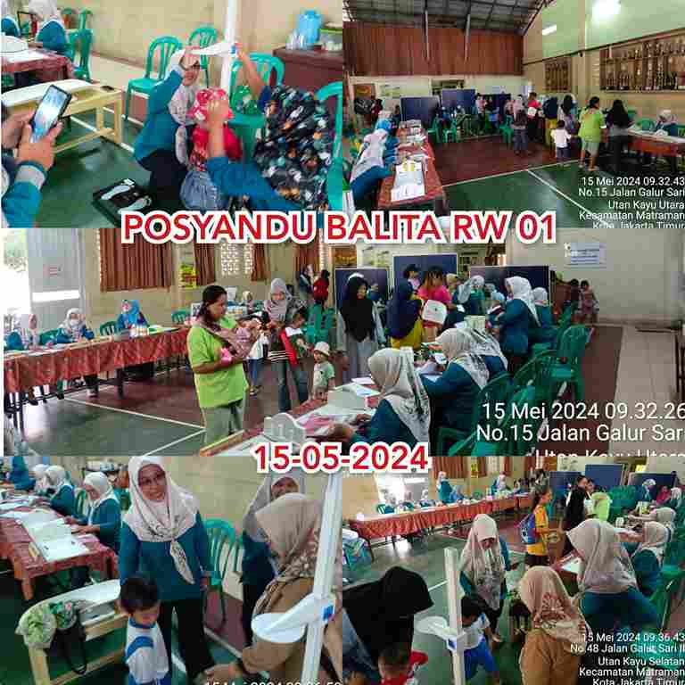 Monitoring Posyandu Balita RW 001