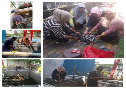 Panen ikan lele dikolam gizi 9kg