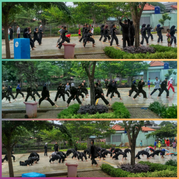 Pencak silat PHS