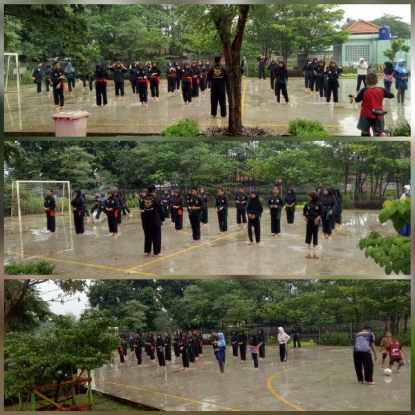 Pencak silat PHS (Perisai Hati Siliwangi)