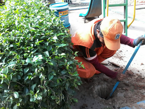 Pembuatan lubang biopori