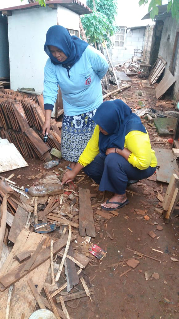 Tempat minum Ayam ada jentik