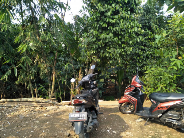 Cek Lokasi TMB