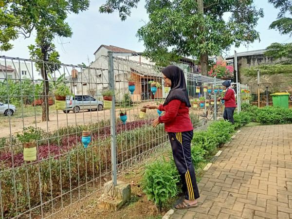  Cat Botol Minuman Bekas untuk di jadikan pot