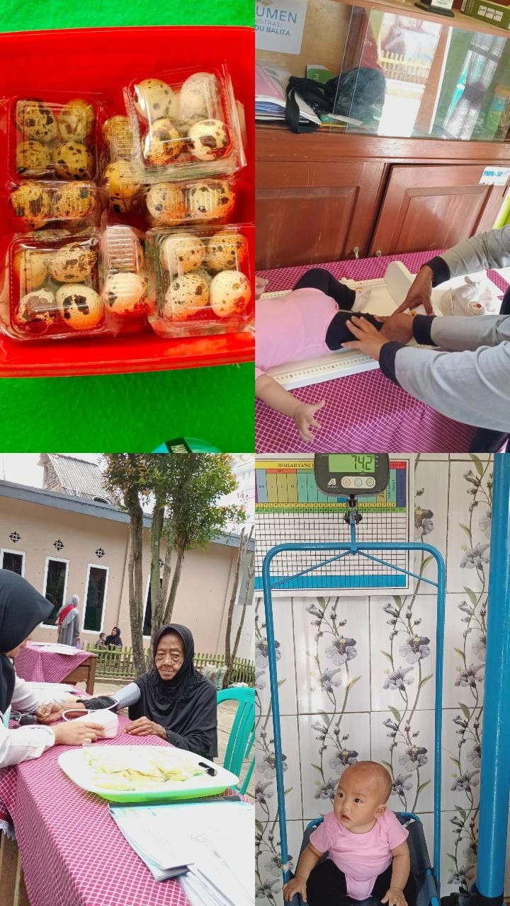 Posyandu Balita, Posbindu, dan Pemeriksaan Ibu Hamil