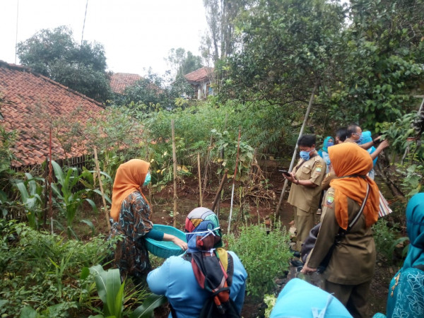 Kunjungan tanaman TOGA (tanaman obat keluarga) yang berada di dusun cipendeuy 