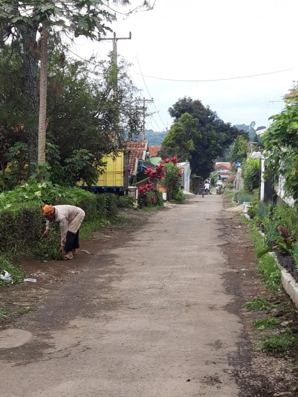 Minggu bersih (mingsih)