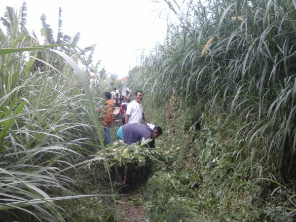 Minggu Bersih Lingkungan RT01 dan RT03 Kampung Kb Insan Sejahtera