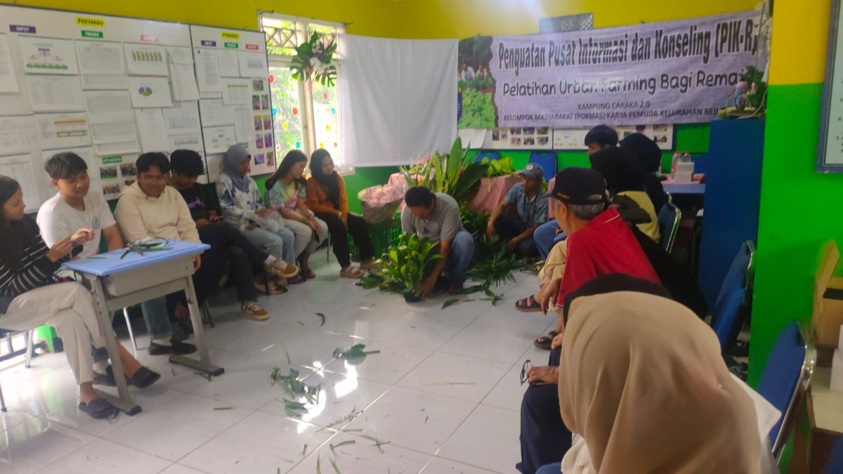 penguatan pusat informasi dan konseling ( PIK-R)