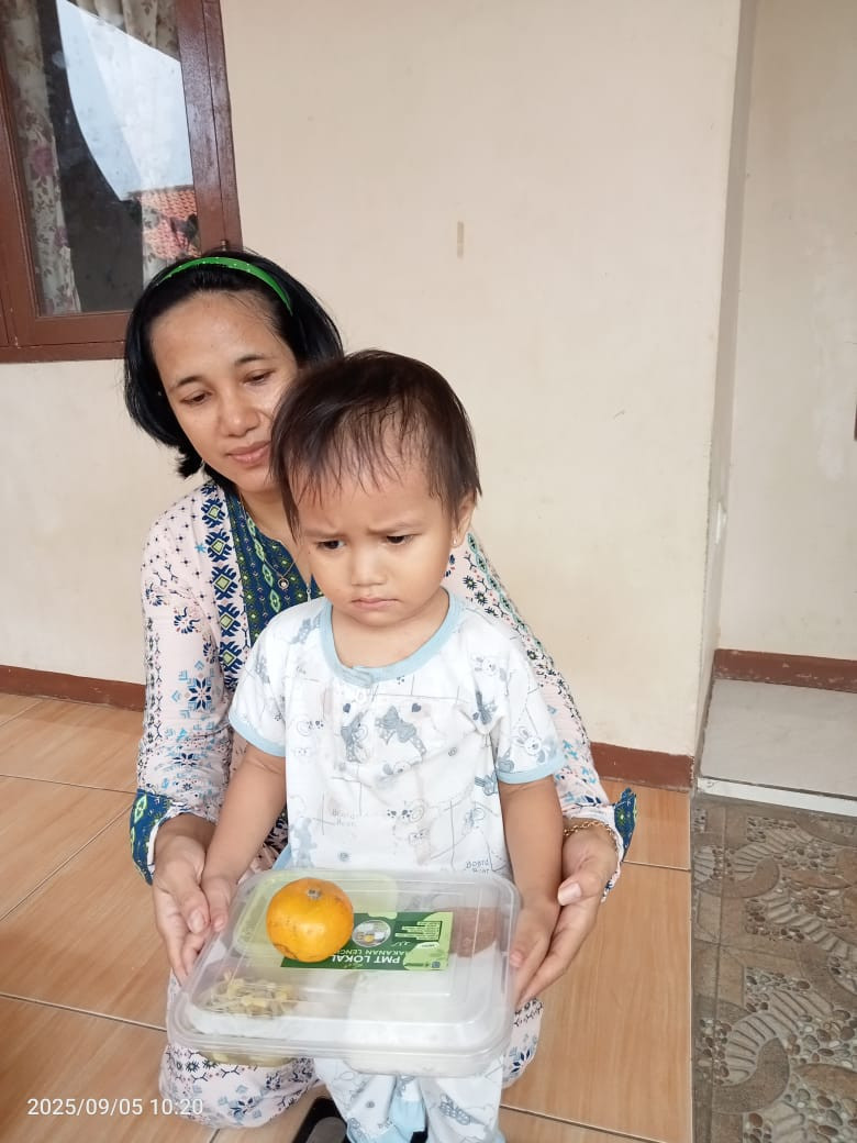 Menu Harian DASHAT untuk balita stunting