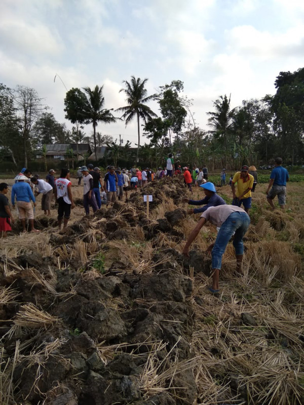 pembangunan akses jalan dari grumbul depok ke grumbul jepara