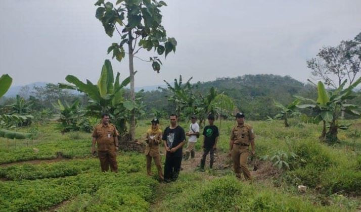 pala kebun