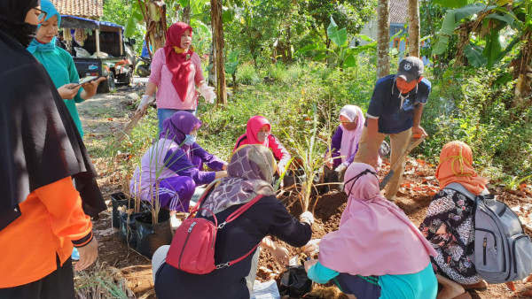 KWT kampung Kb Sembada