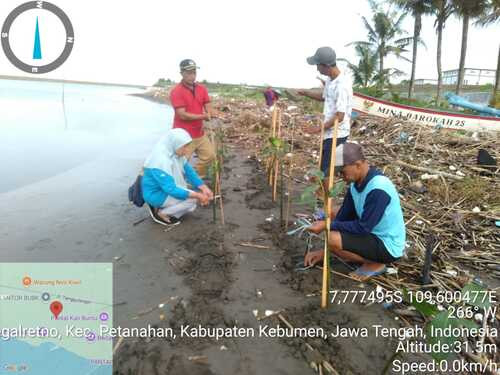 Mari Kita Sukseskan Penanaman Mangrove Serentak Bersama Gubernur Jawa Tengah "Mageri Segoro" di Tegalretno