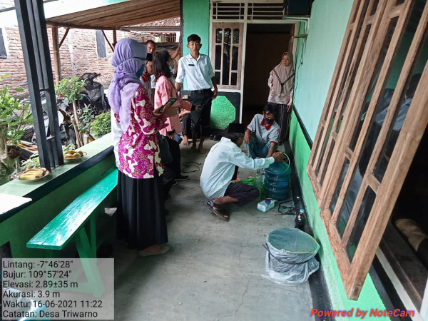 Proses pembuatan pestisida nabati dari bahan laos , sereh dan tembakau