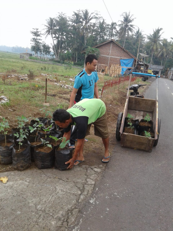 polibag yang sudah diberi benih tanaman cabe, terong, dan lain sebagainya