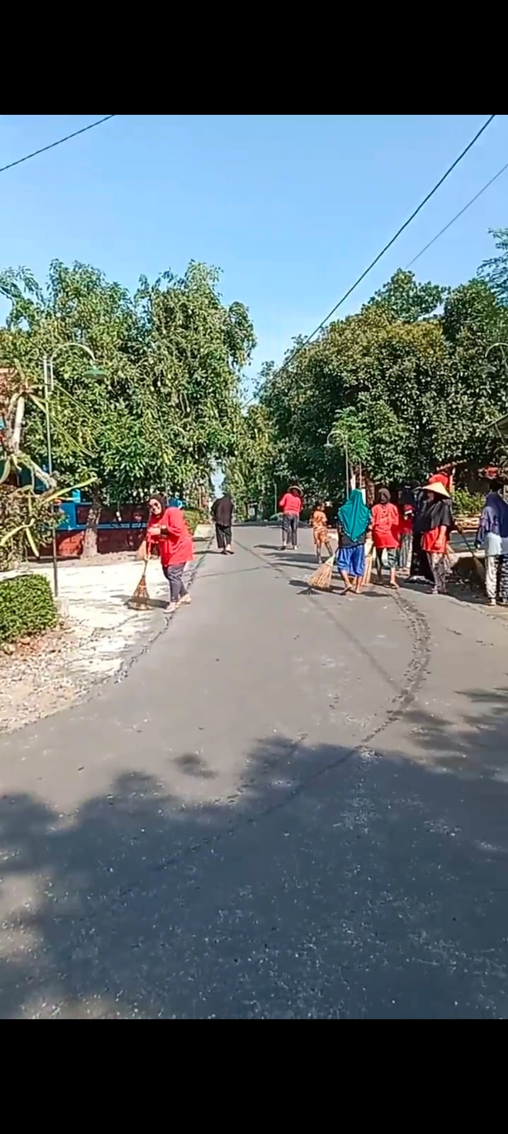 Pemberantasan Sarang Nyamuk