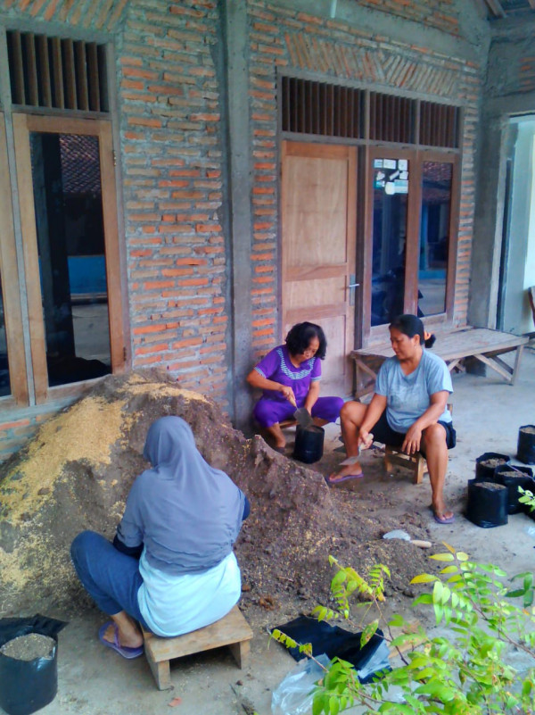 Pembuatan tanaman polibek sayur